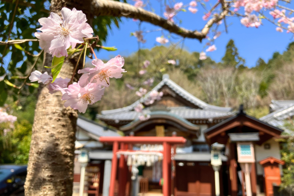 豊後大野市の合格祈願