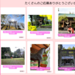 豊後大野市神社フォトコンテストを開催